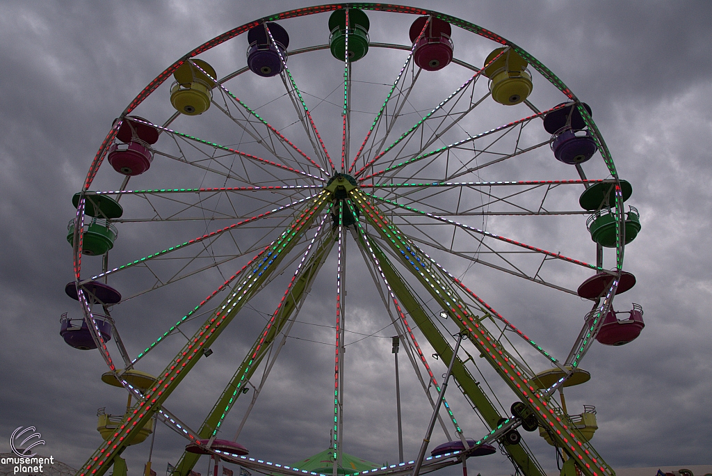 Century Wheel