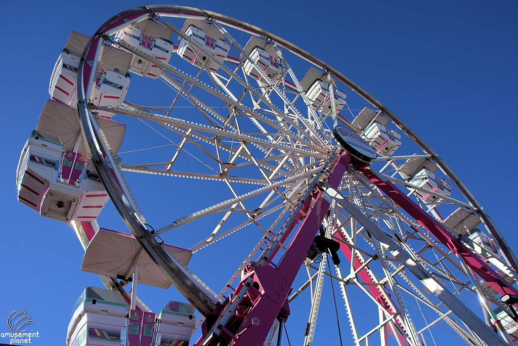 Century Wheel