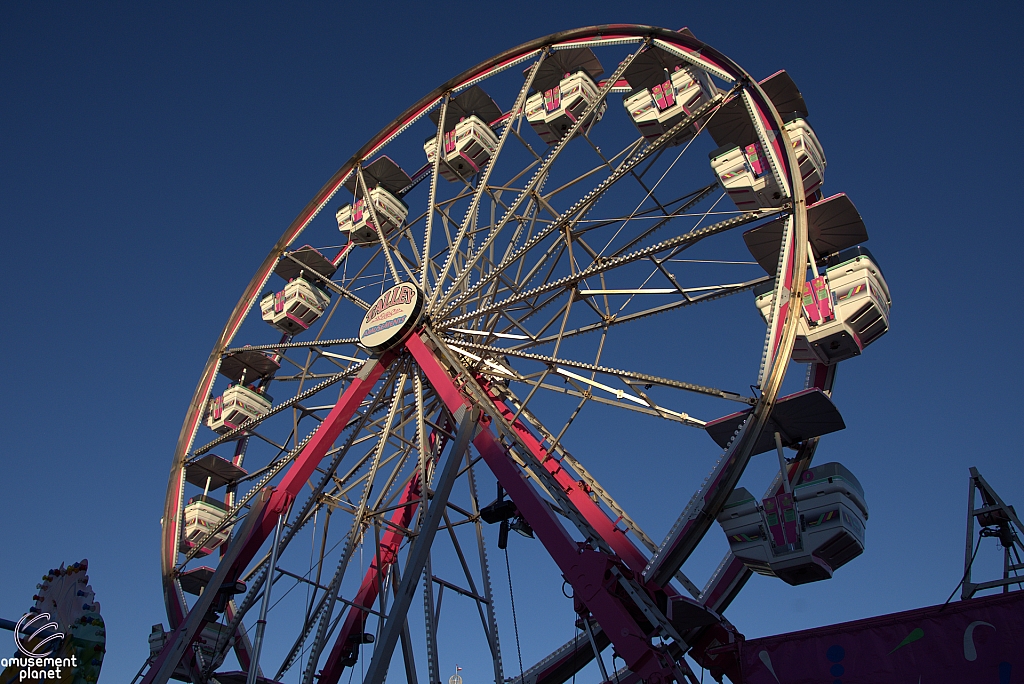 Century Wheel