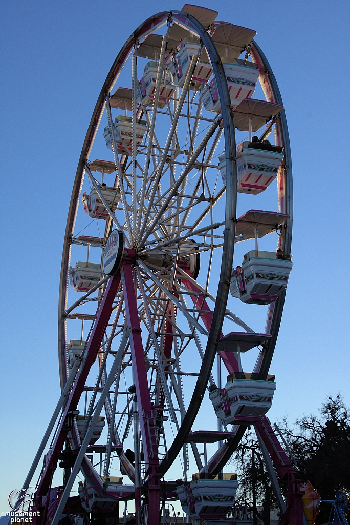 Century Wheel