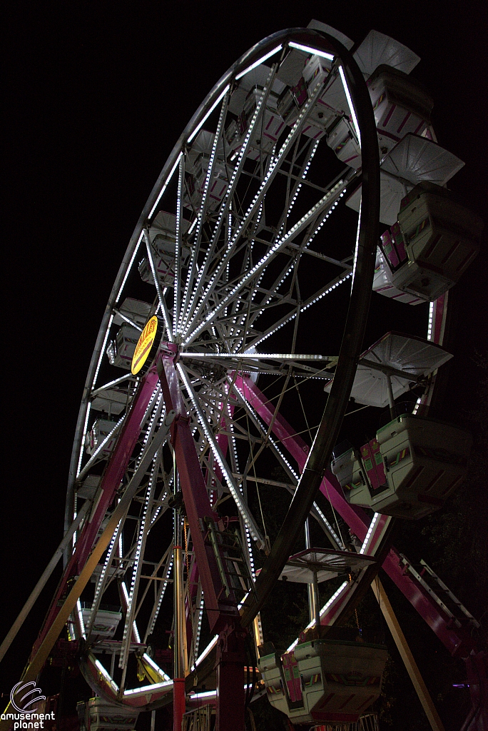 Century Wheel