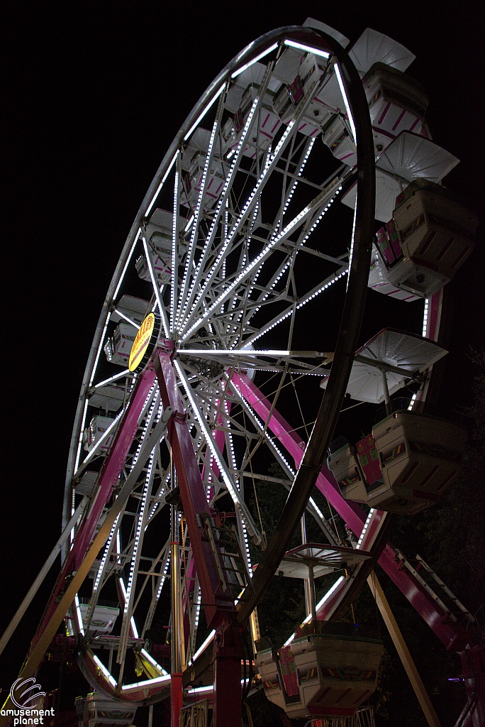 Century Wheel