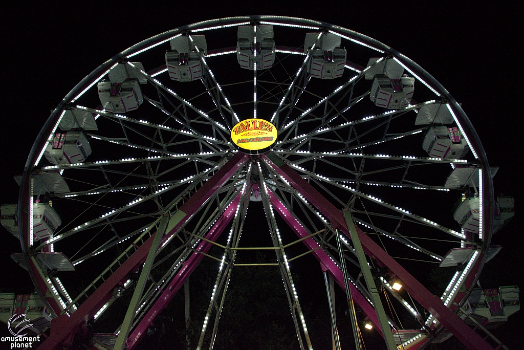 Century Wheel