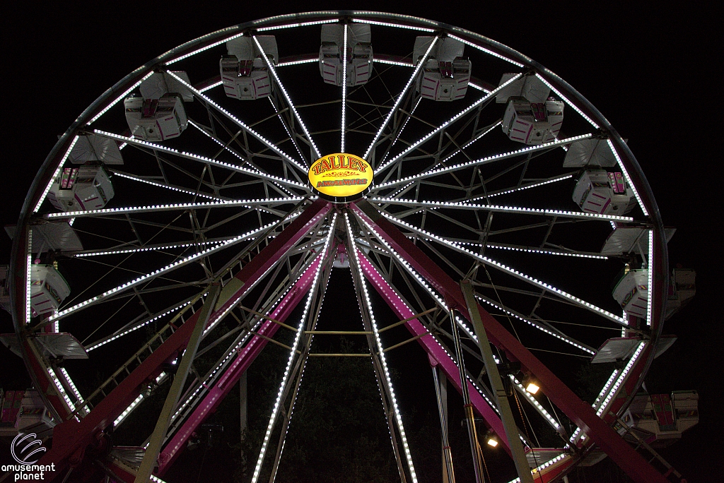 Century Wheel