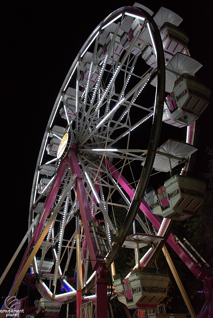 Century Wheel