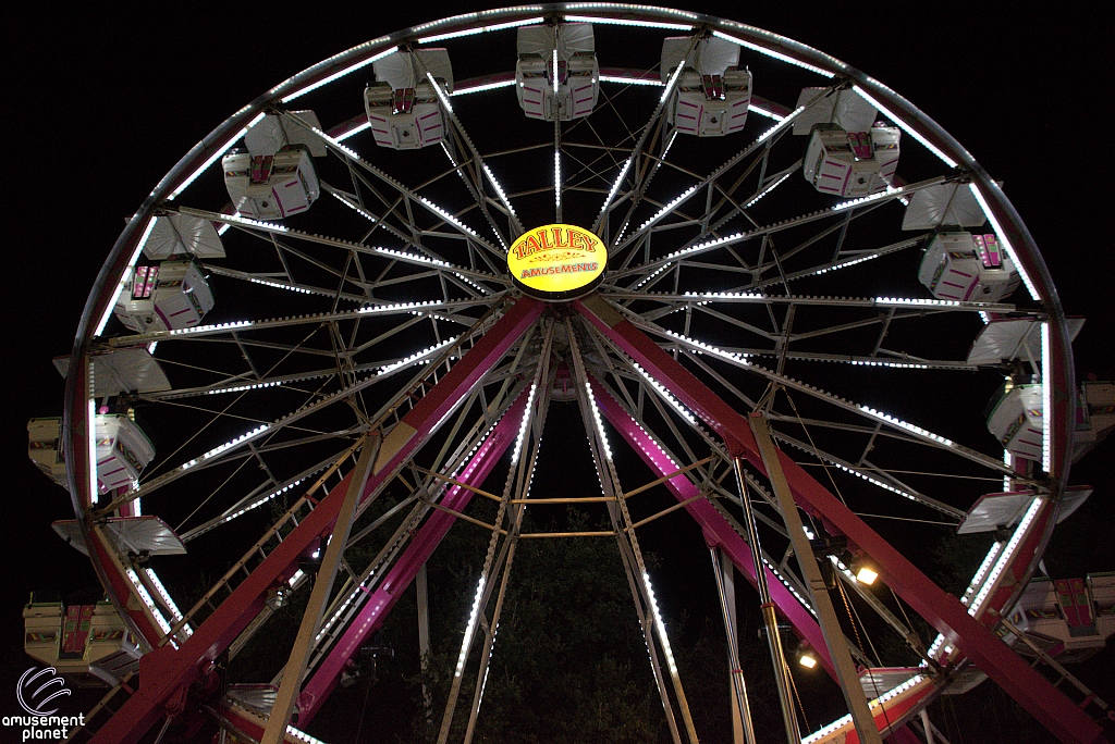 Century Wheel