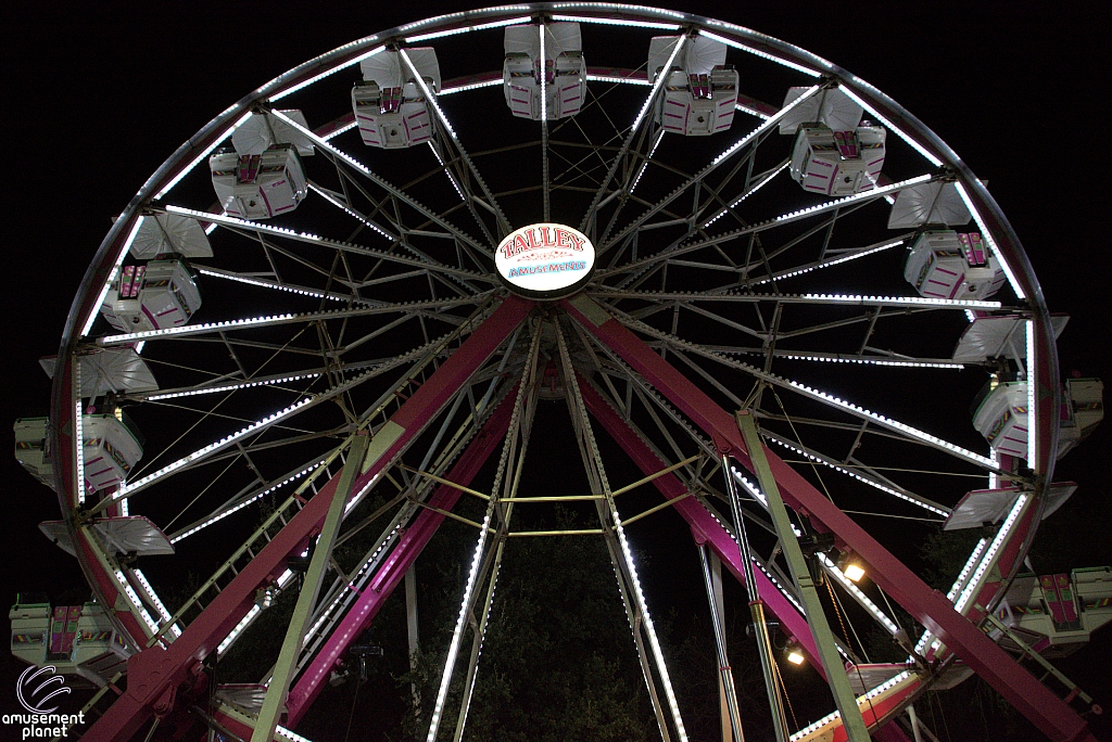 Century Wheel