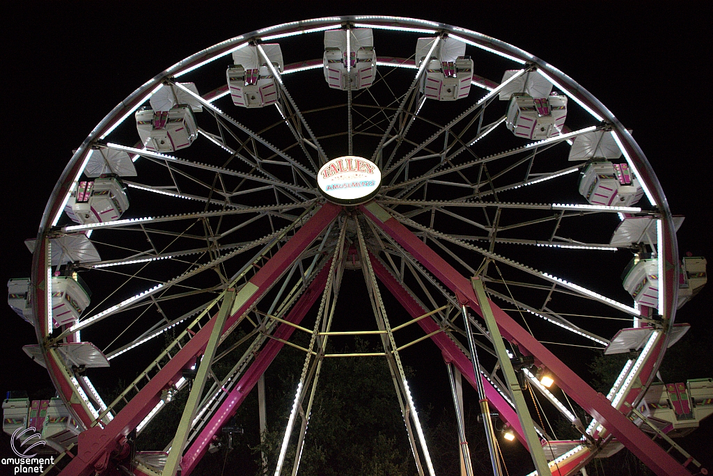 Century Wheel