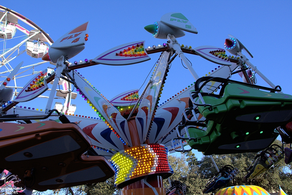Kite Flyer