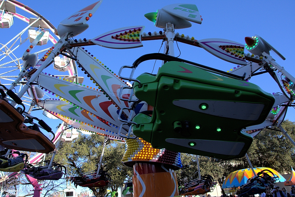 Kite Flyer
