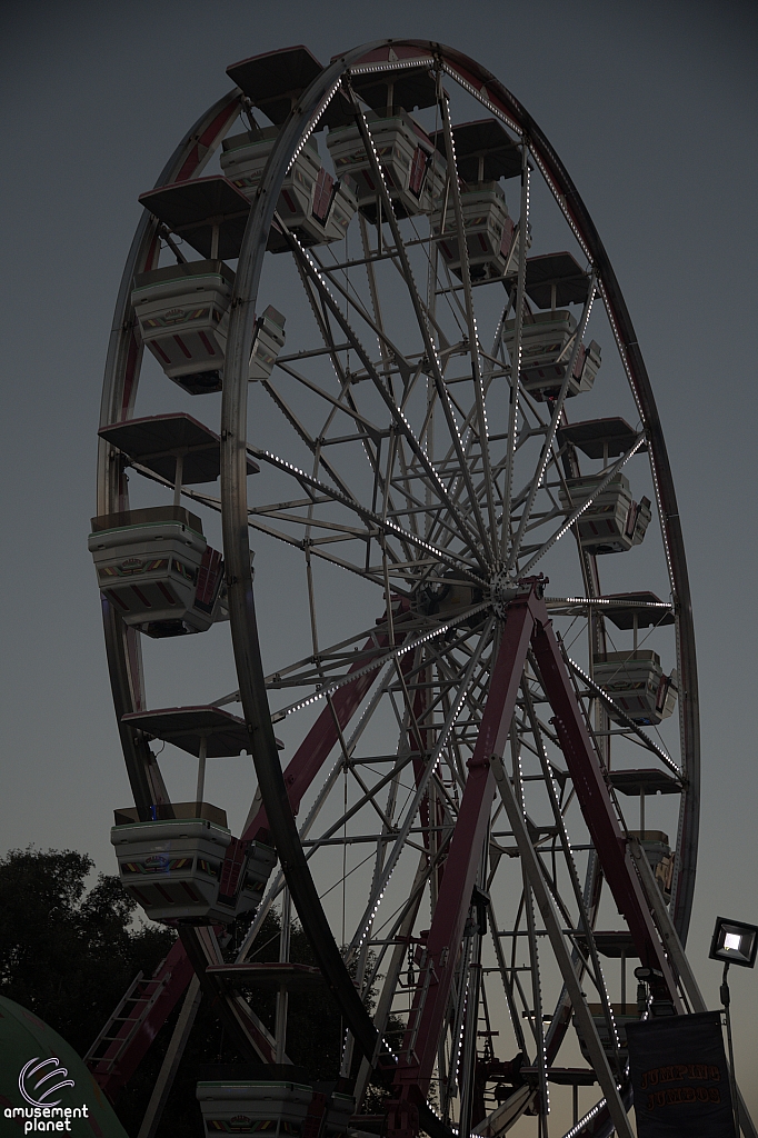 Century Wheel