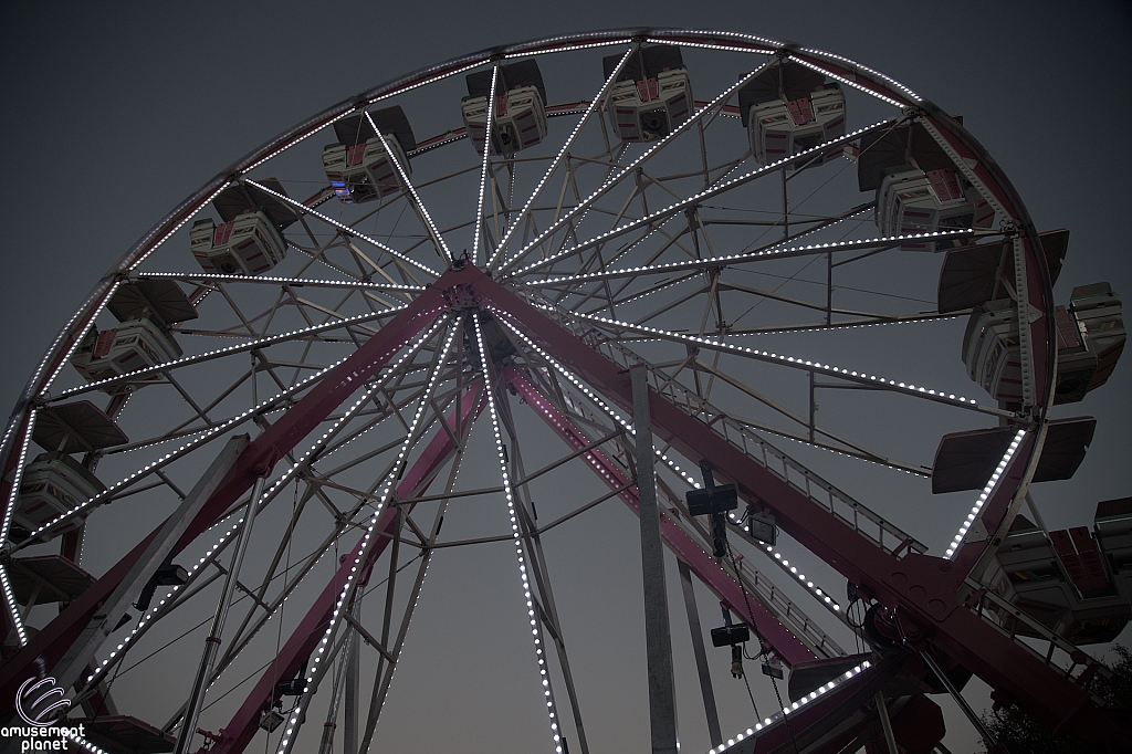 Century Wheel