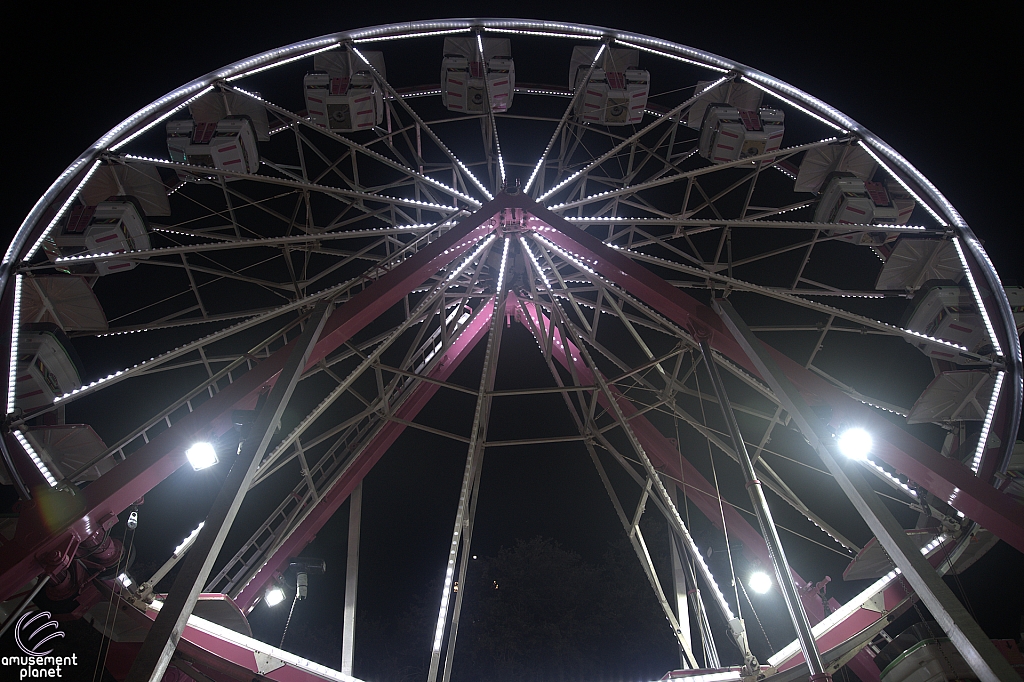 Century Wheel