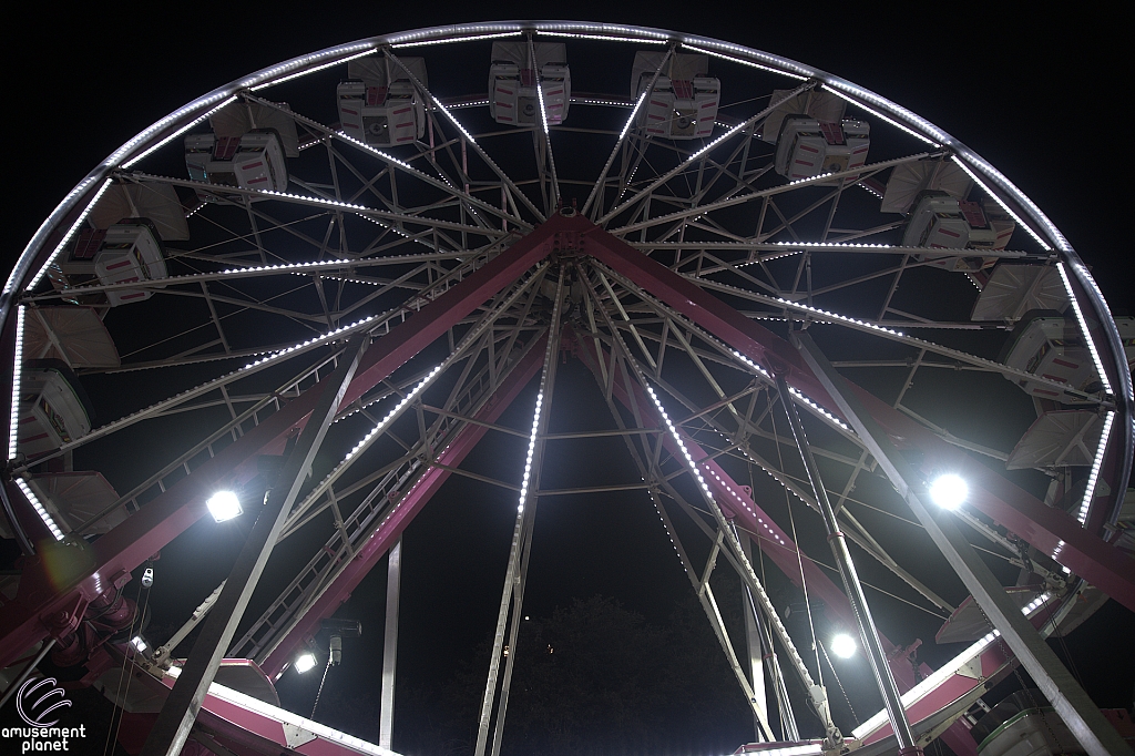 Century Wheel