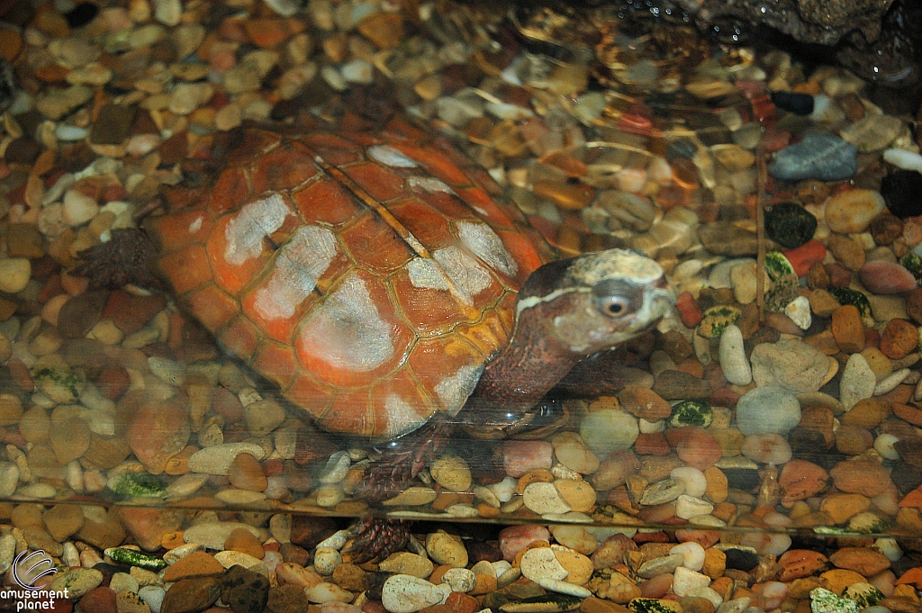 Herpetarium