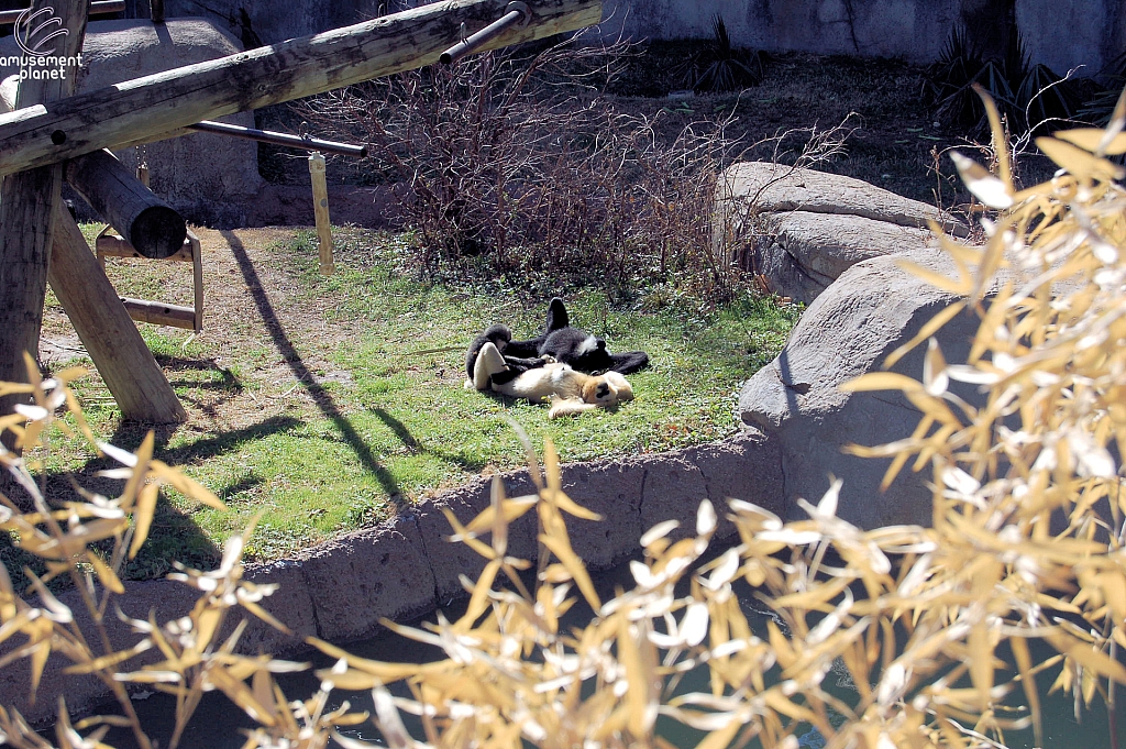 World of Primates