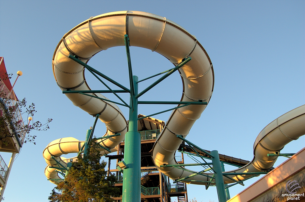 Six Flags Hurricane Harbor - Arlington