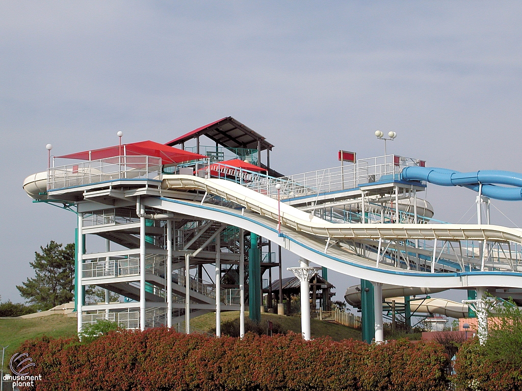 Six Flags Hurricane Harbor - Arlington