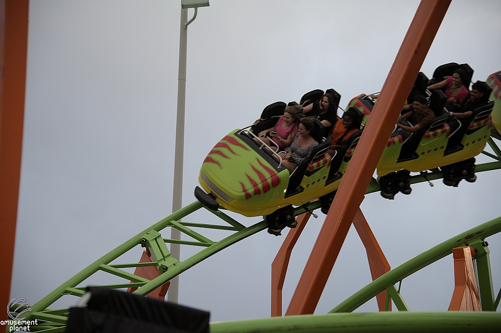 Raptor