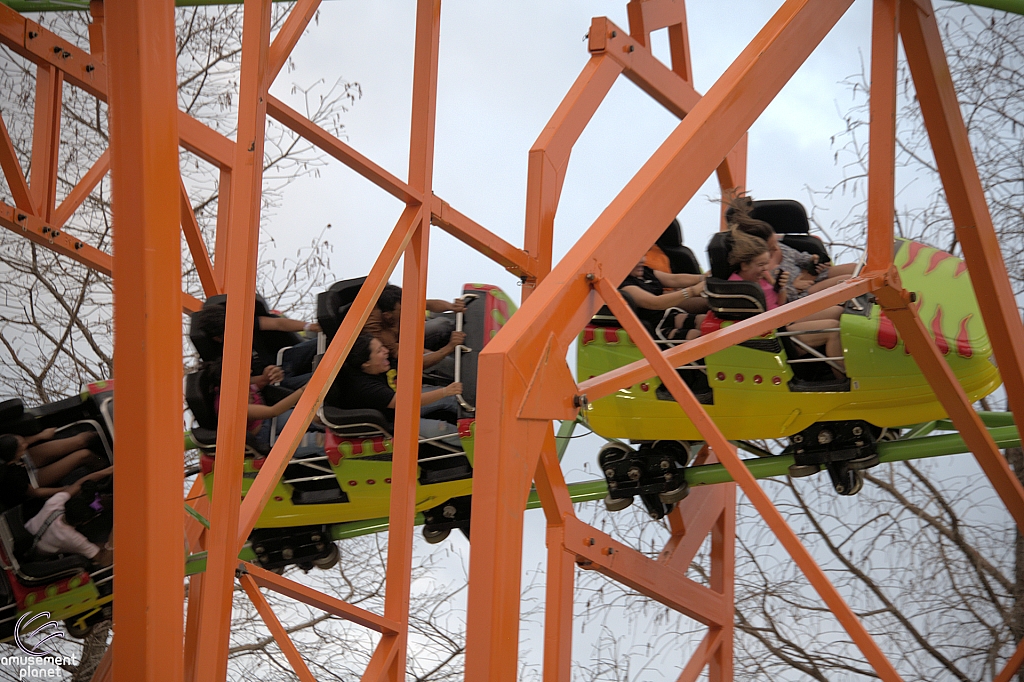 Raptor