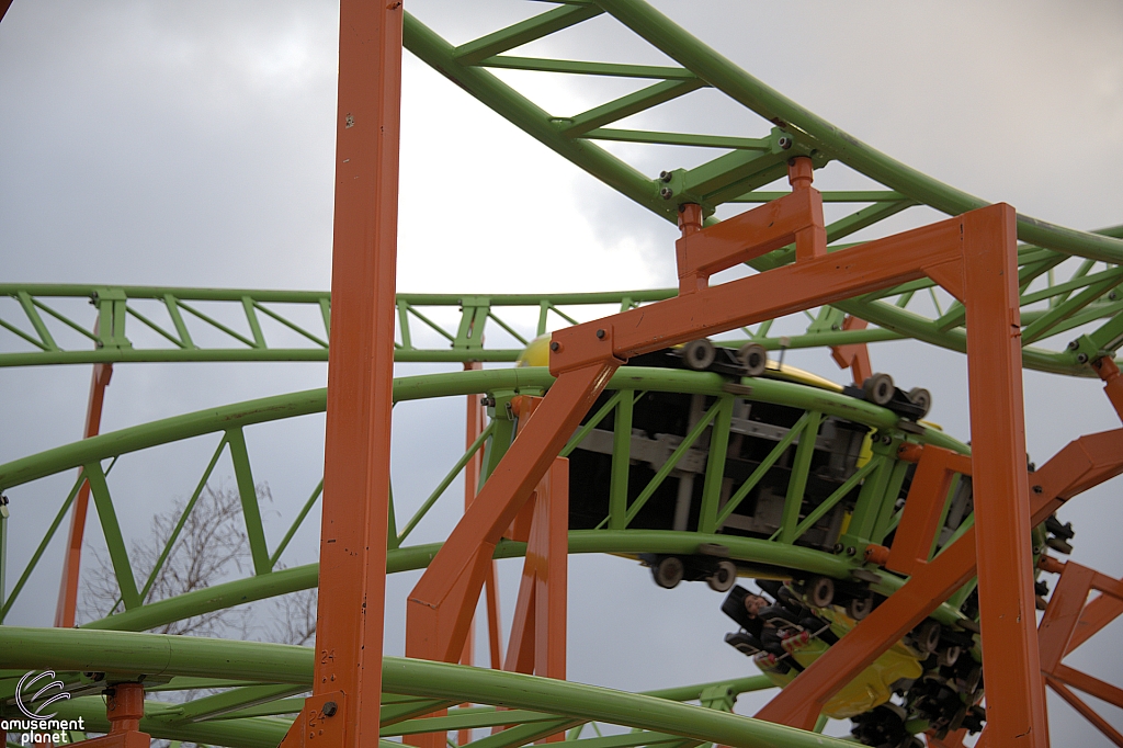 Raptor