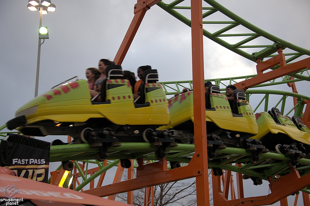 Raptor