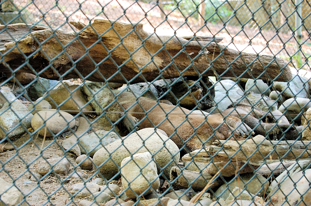 ZooAmerica