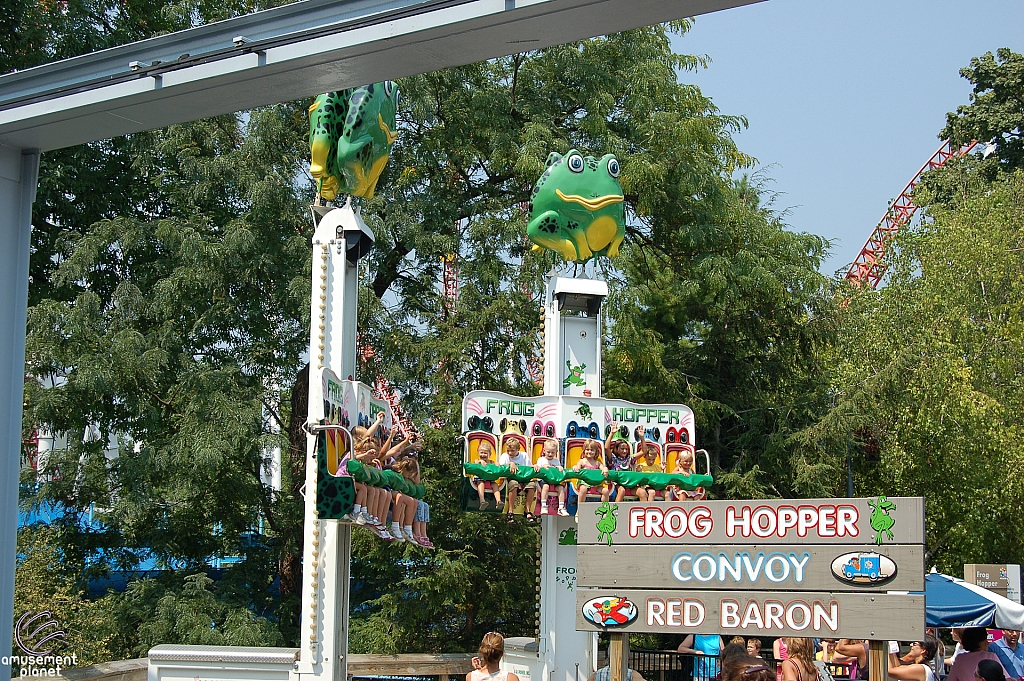 Frog Hopper