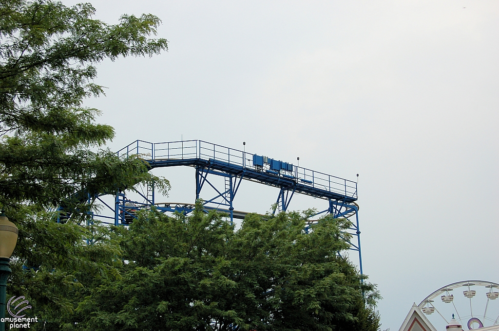 Wild Mouse