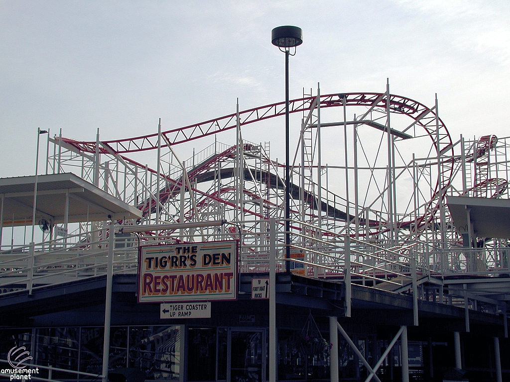 Tig'rr Coaster