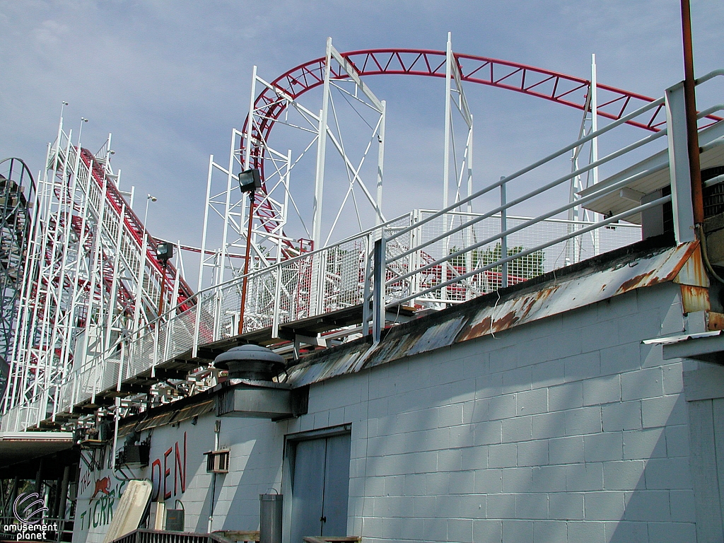 Tig'rr Coaster