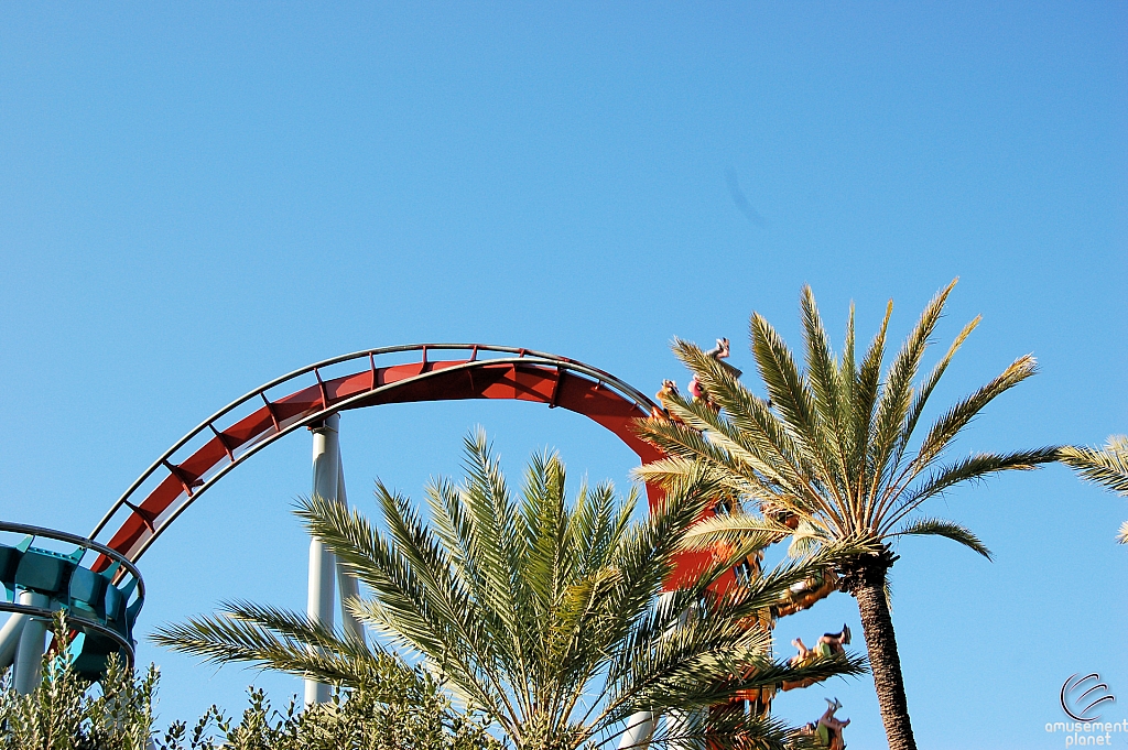 Dragon Challenge