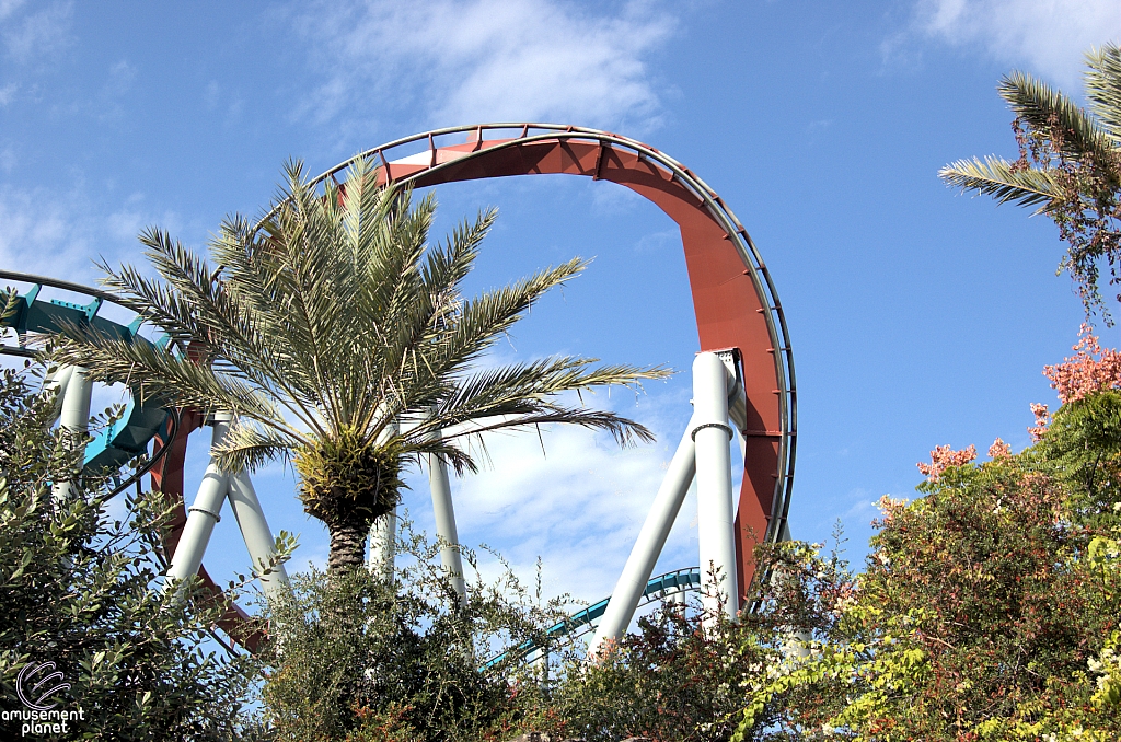 Dragon Challenge