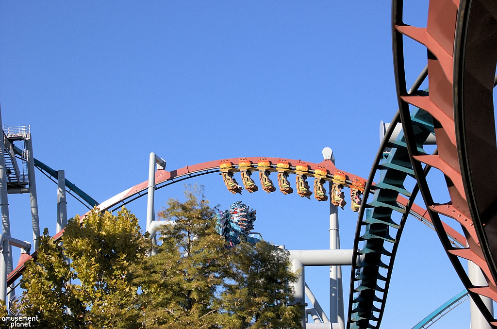 Dragon Challenge