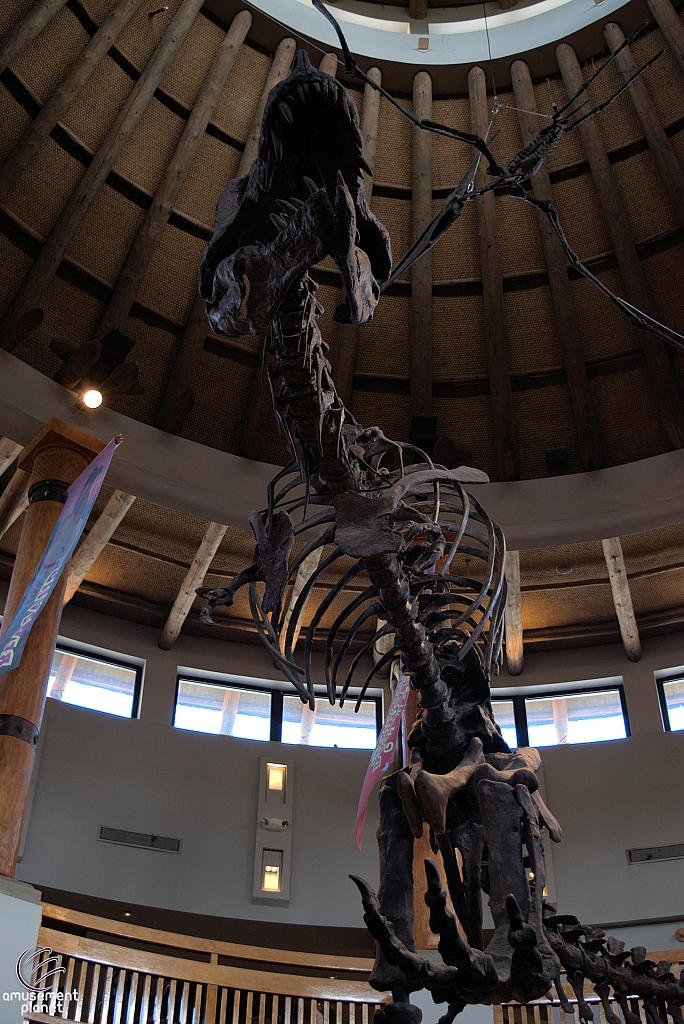 Jurassic Park Discovery Center