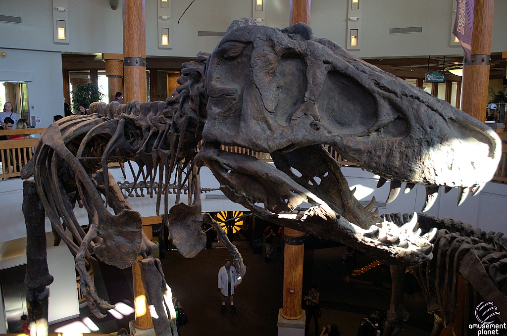 Jurassic Park Discovery Center