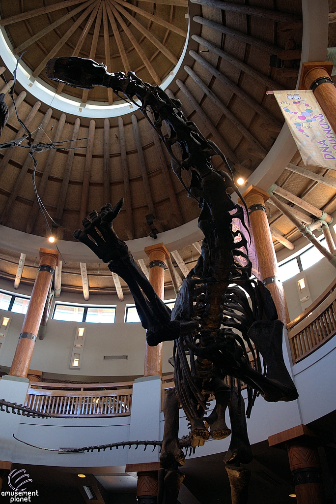 Jurassic Park Discovery Center