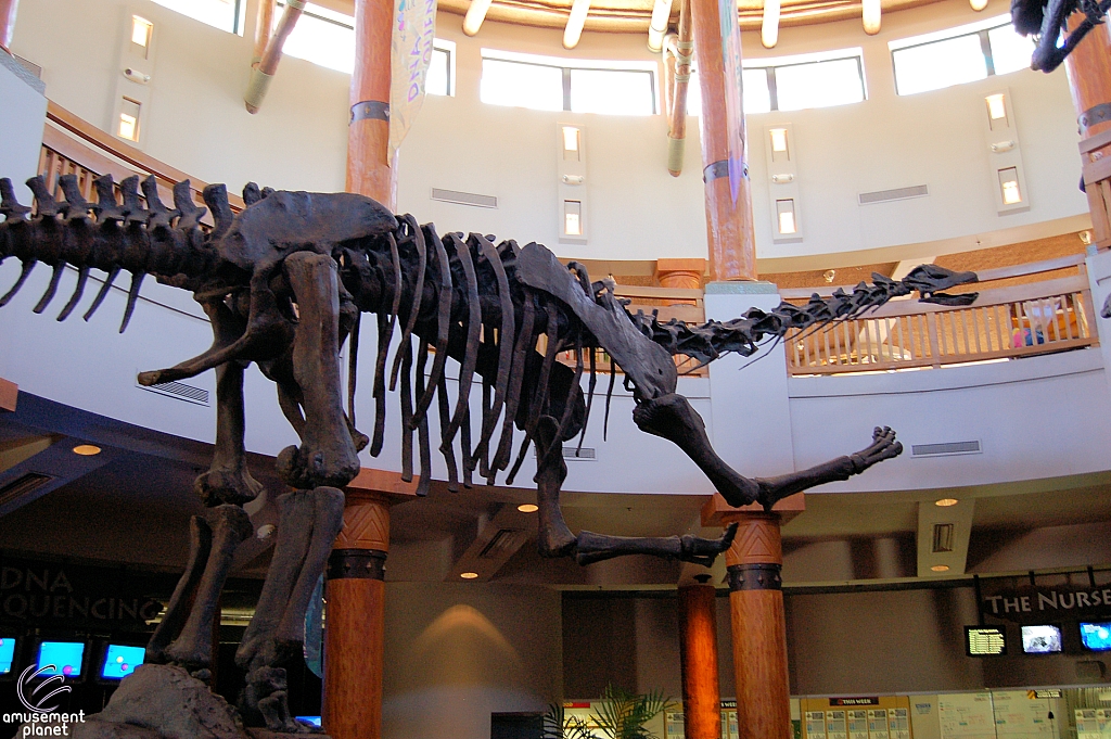 Jurassic Park Discovery Center