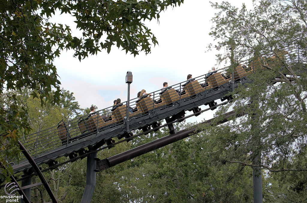 Flight of the Hippogriff