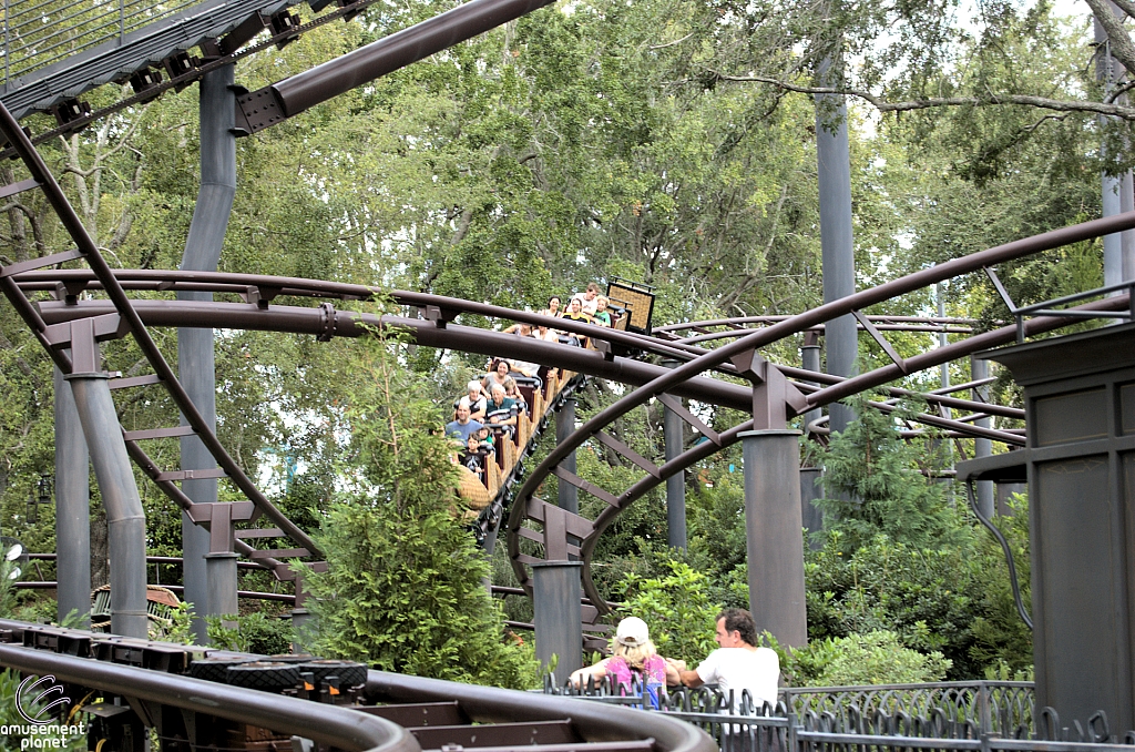 Flight of the Hippogriff