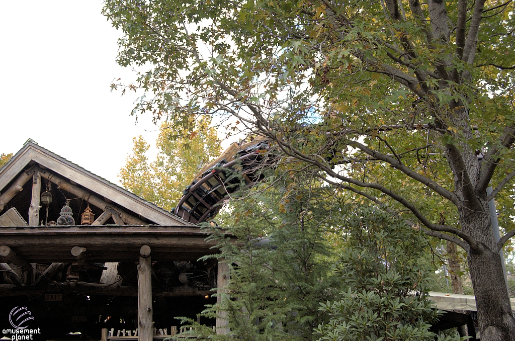 Flight of the Hippogriff