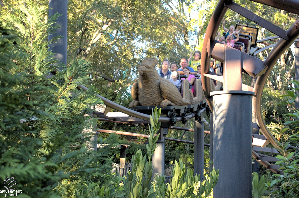 Flight of the Hippogriff