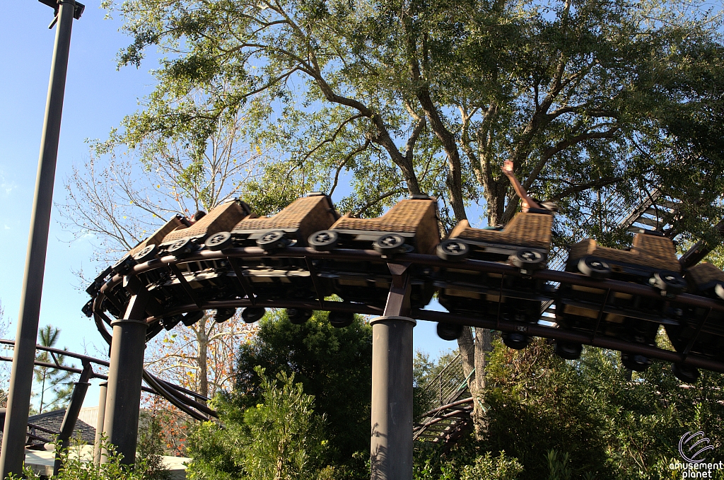 Flight of the Hippogriff