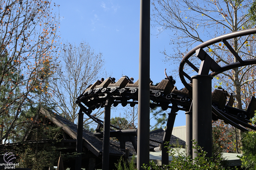 Flight of the Hippogriff