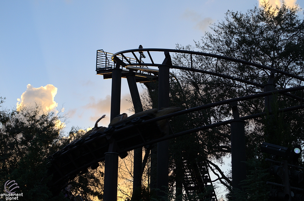 Flight of the Hippogriff