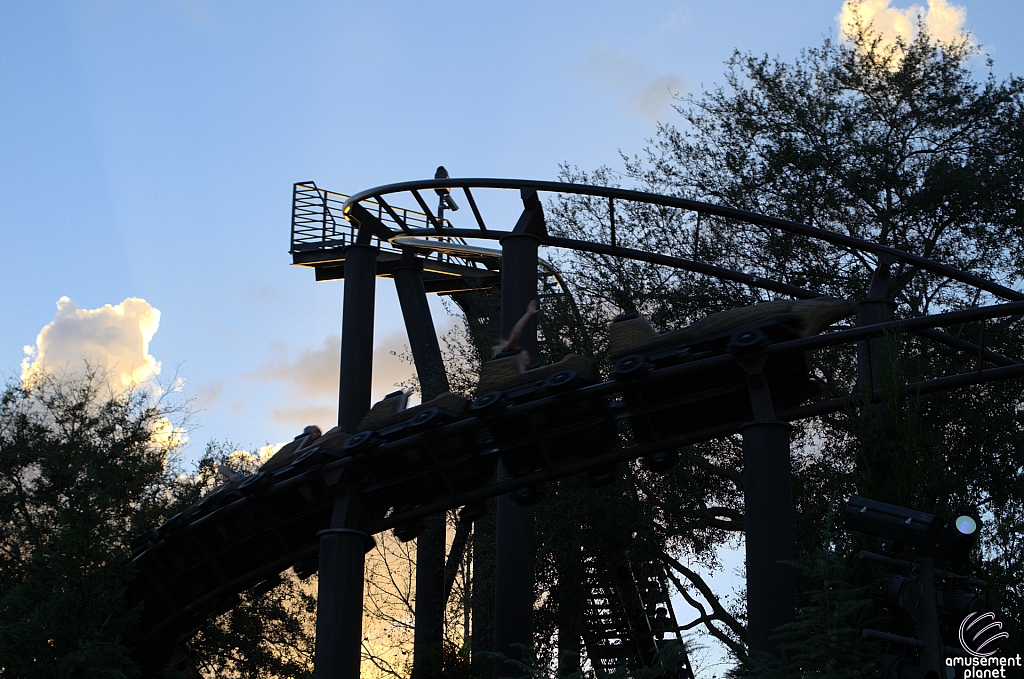 Flight of the Hippogriff