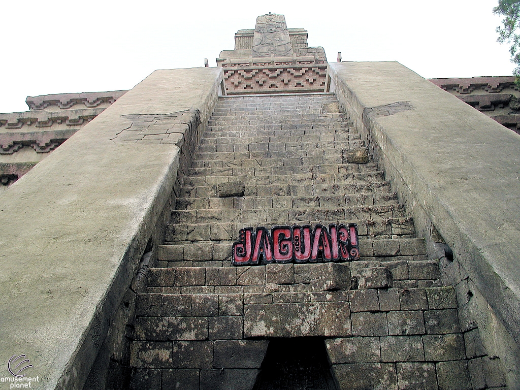 Jaguar!