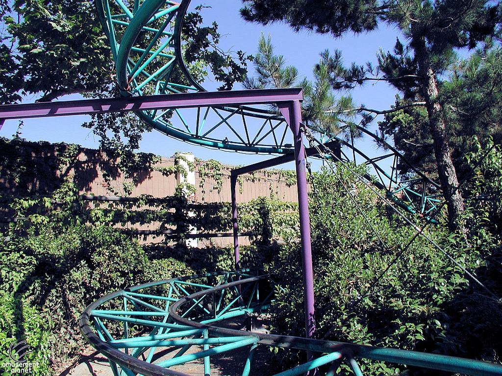 Timberline Twister