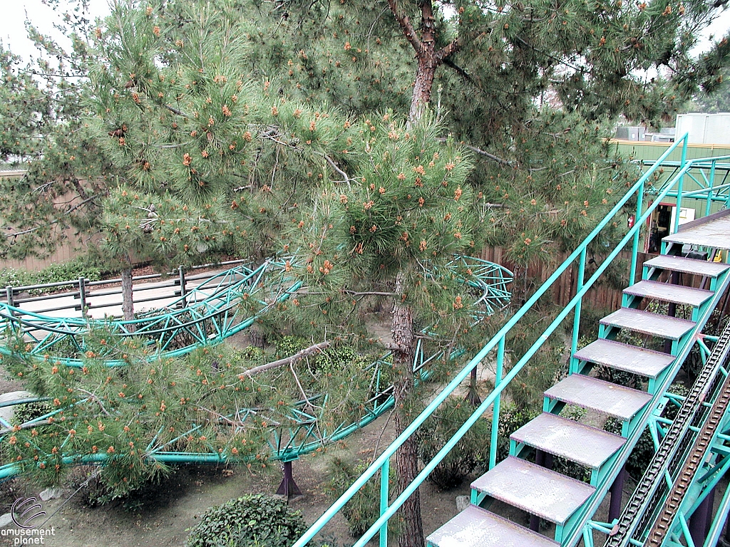Timberline Twister