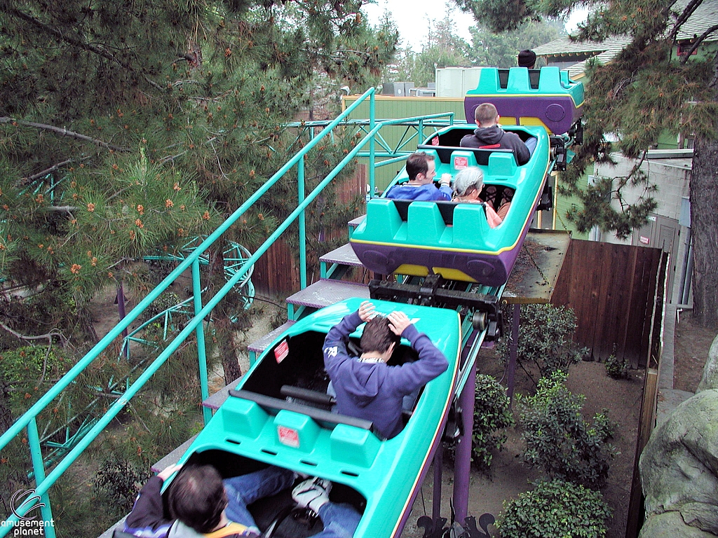 Timberline Twister